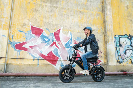 URLIFE off-road e-bike outdoor