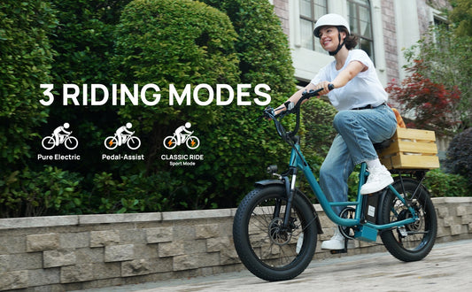 URLIFE E20 EU fat tire electric bike with 3 riding modes: pure electric, pedal assist & sport classic ride