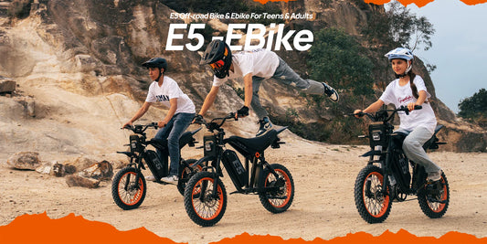 URLIFE E5 spec off-road electric bike full matte black design with orange wheel rims