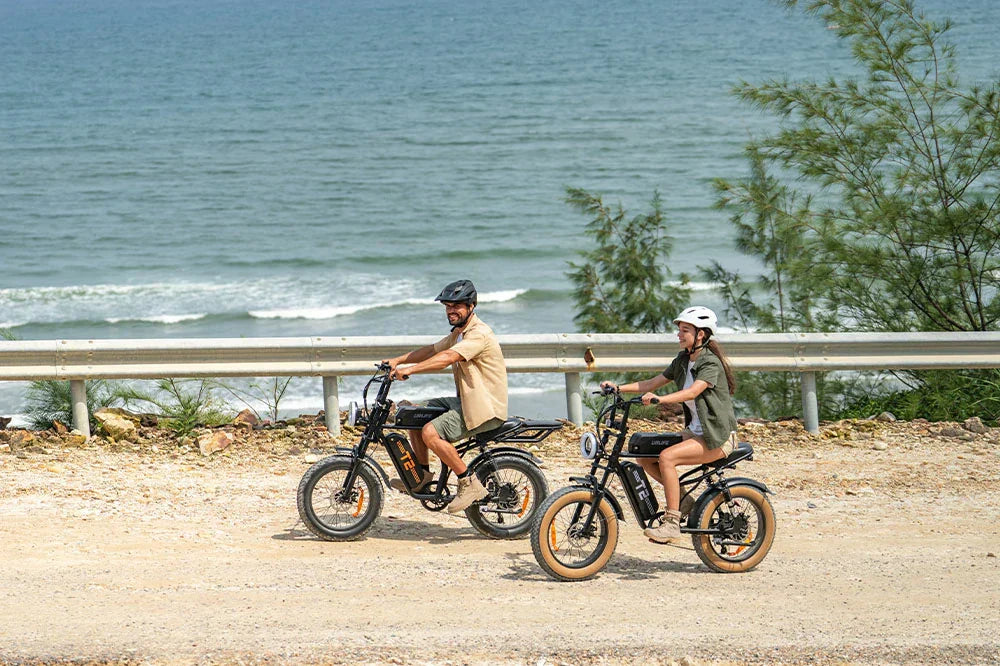 URLIFE  Electric Bike vs. Regular Bike: Which One Is Right for You?