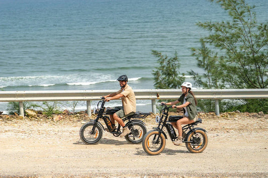 URLIFE  Electric Bike vs. Regular Bike: Which One Is Right for You?