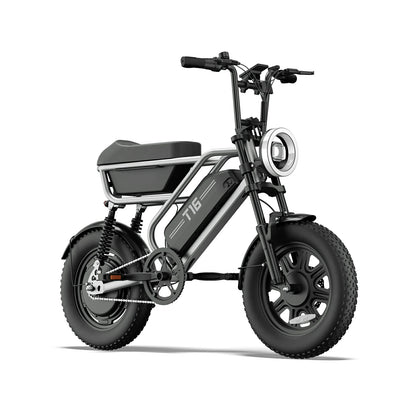 URLIFE T16 (US) Electric Bike
