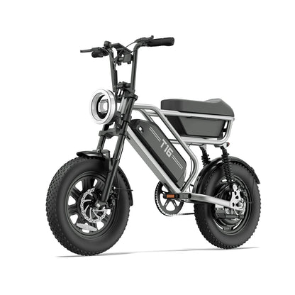 URLIFE T16 (US) Electric Bike