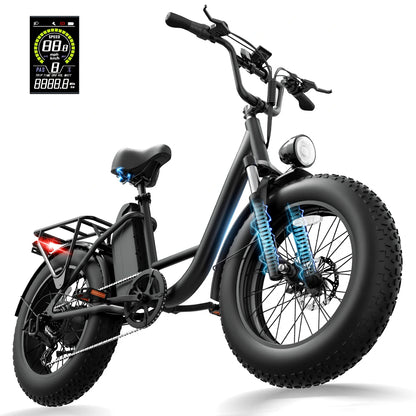 URLIFE E20 Pro (US) Electric Bike