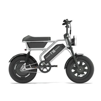 URLIFE T16 (US) Electric Bike