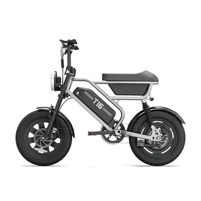 URLIFE T16 (US) Electric Bike