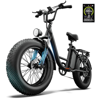 URLIFE E20 Pro (US) Electric Bike