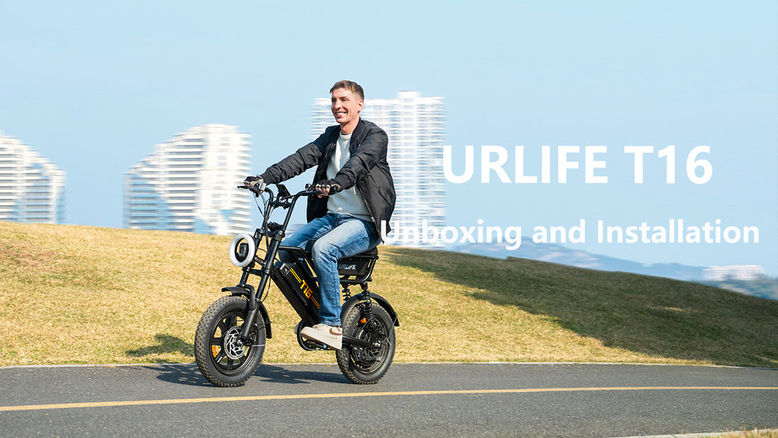 URLIFE T16 (EU) Electric Bike | 500W Motor, 48V 13Ah Battery, 45km/h ...