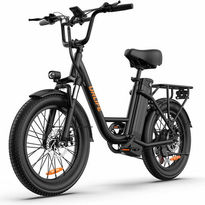 URLIFE E20 (US) Electric Bike