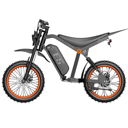 URLIFE E5 (US) Electric Bike