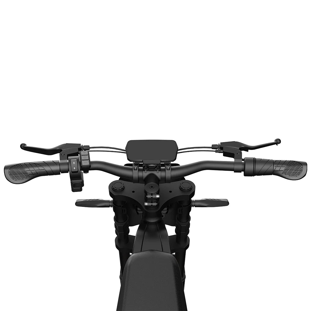 URLIFE E5 (US) Electric Bike