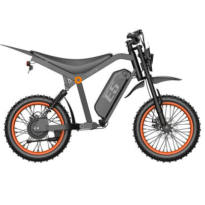 URLIFE E5 (US) Electric Bike